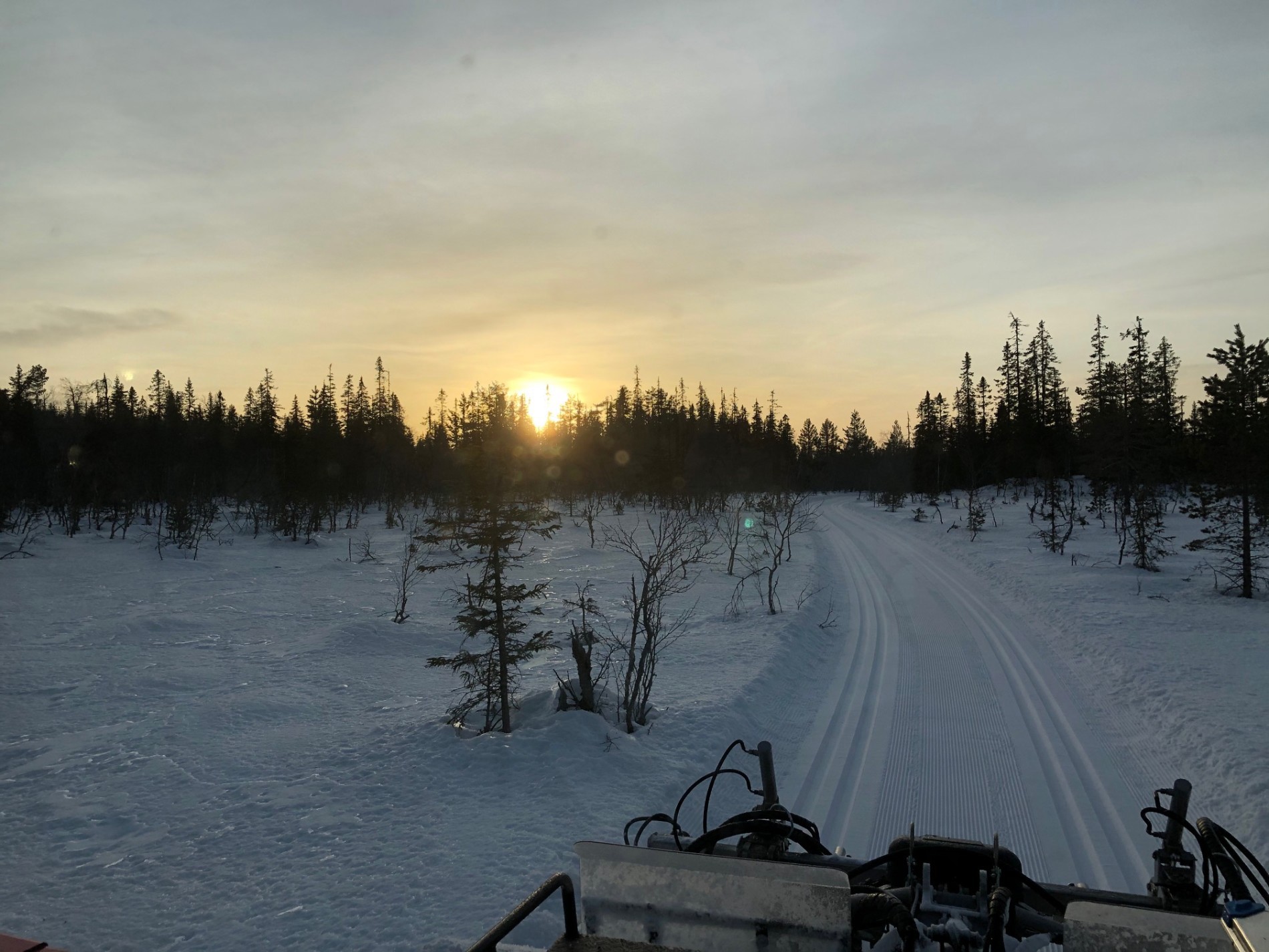 Fantastiske forhold mellom Rørmyra og Solvoll