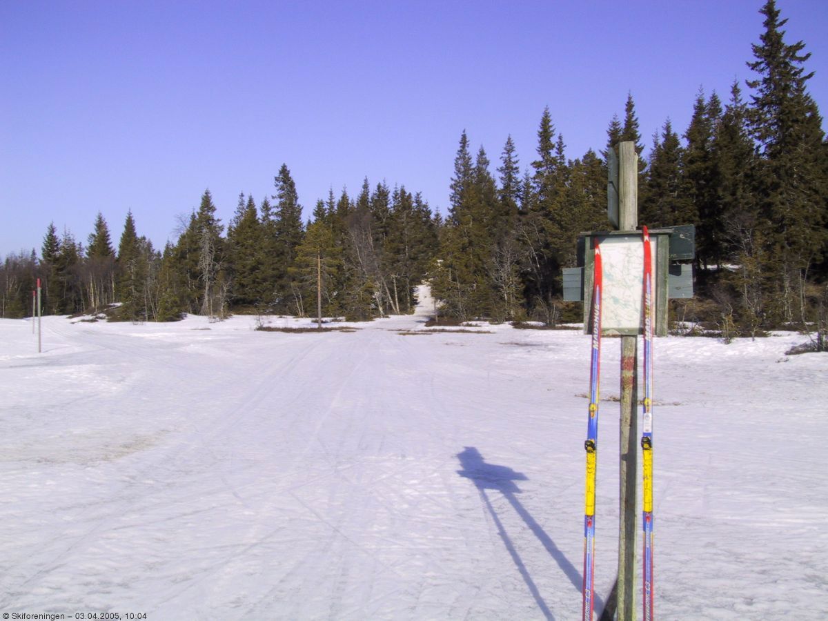 Farvel med Borgersetermyra for i år