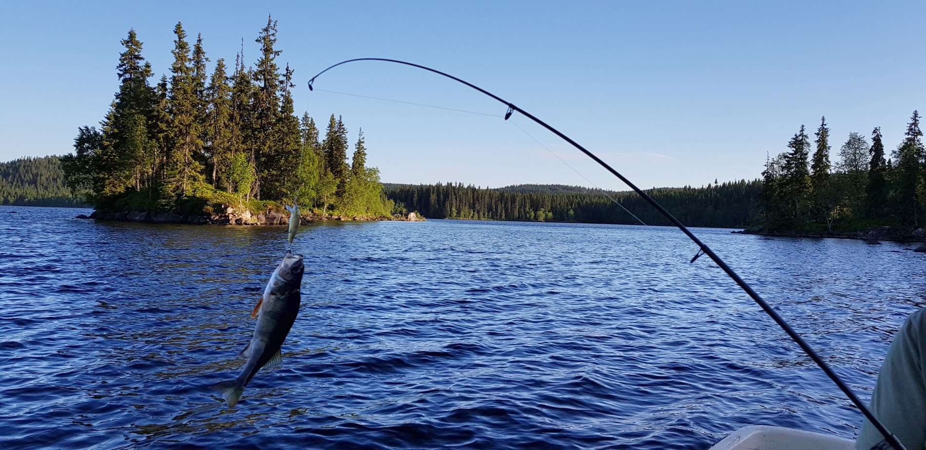 Fast fisk ved Ørnøya