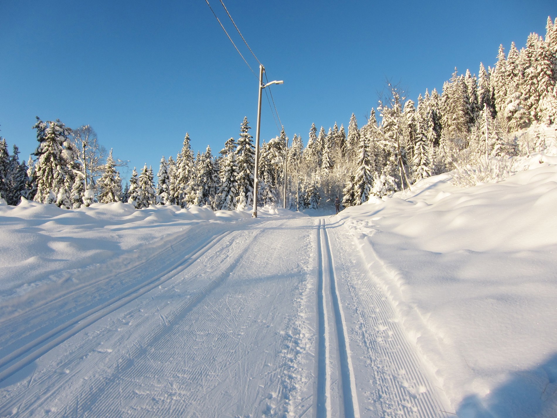 Faste spor i lysløypa