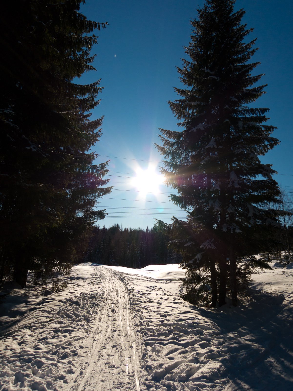 Februarsol over Grinisetermarka