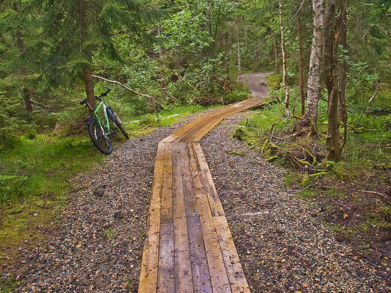 Fin hjelp ved Svartvann