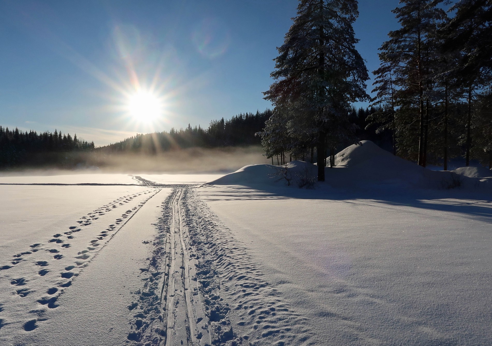 Fin sol på Geitsjøen