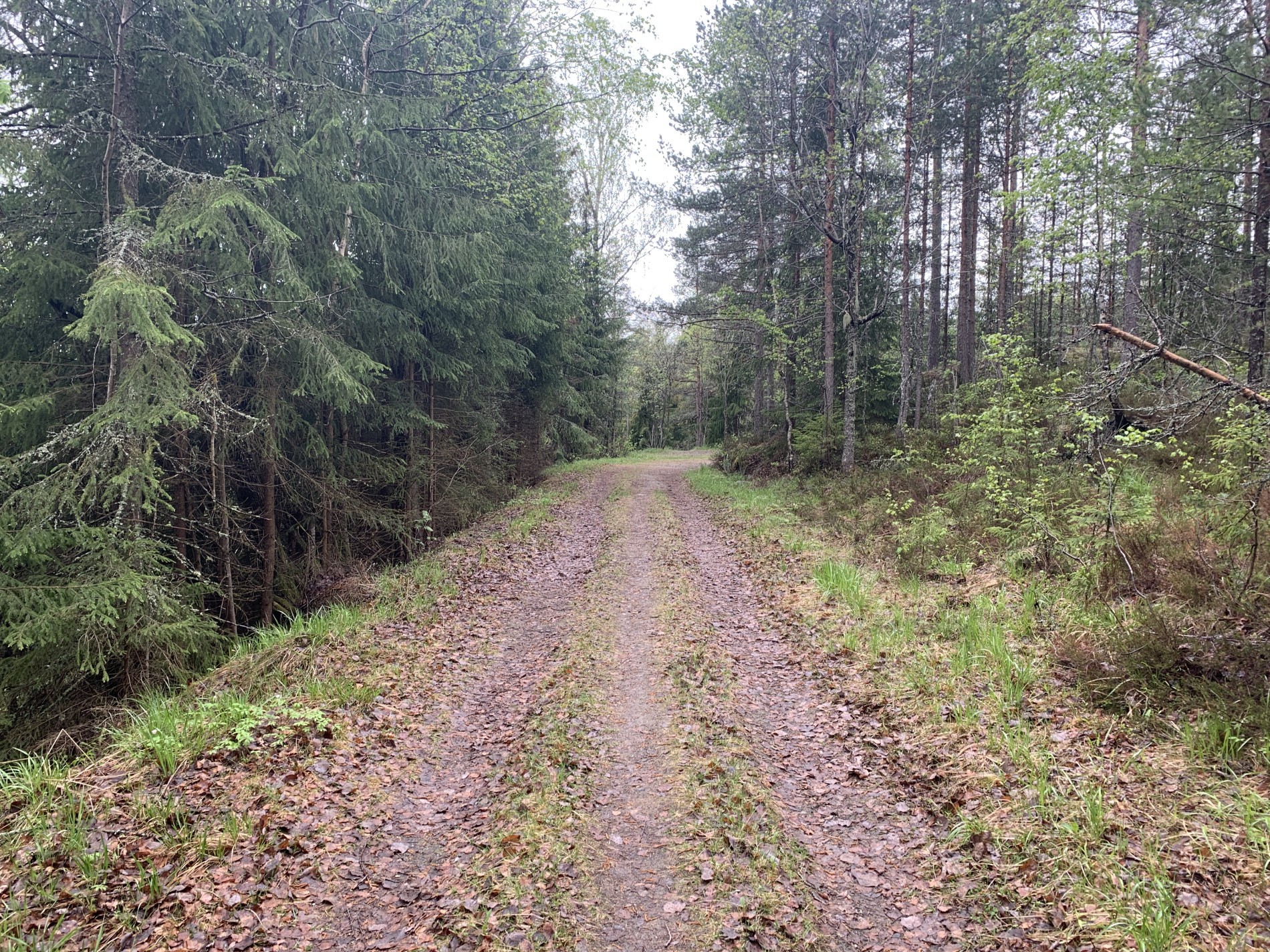 Fin sykkelvei langs Nord-Elvåga