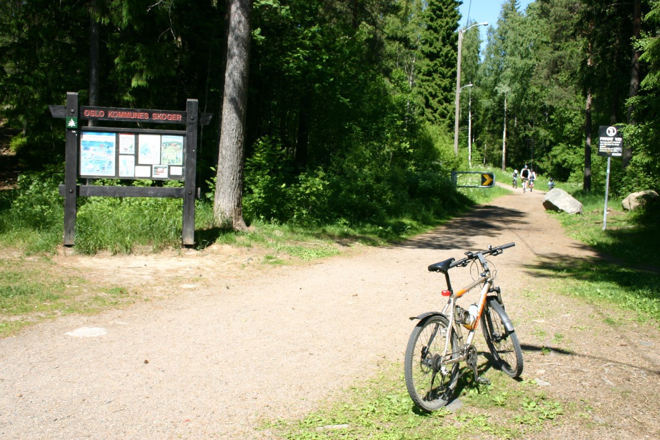 Fin turvei fra Tangerud