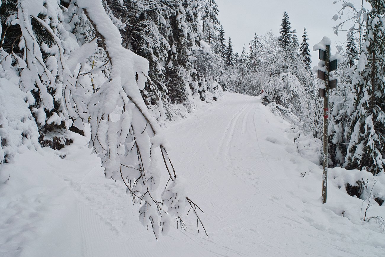 Fine forhold fra Tverrelva til Frøshaug