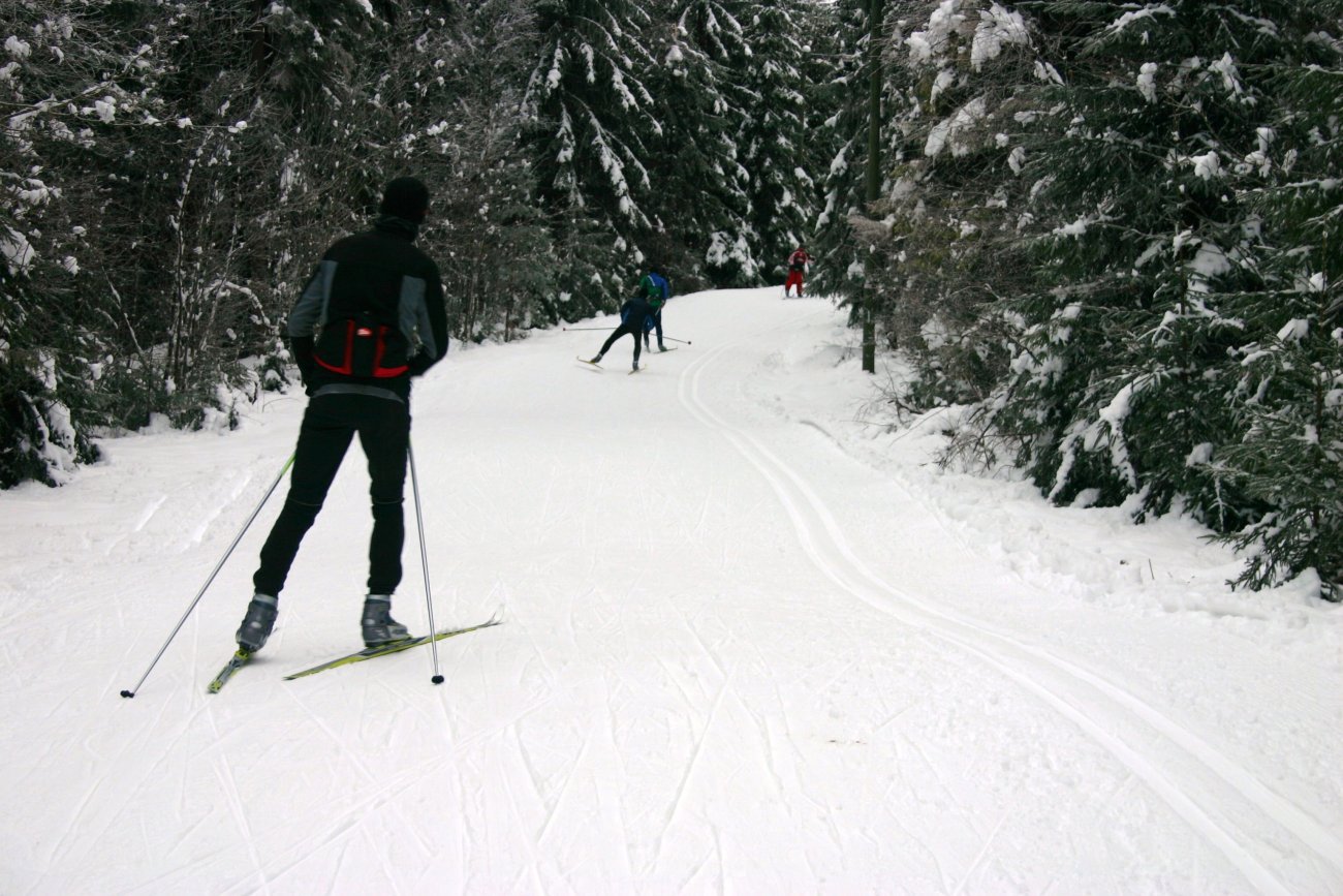 Fine forhold i lysløypa