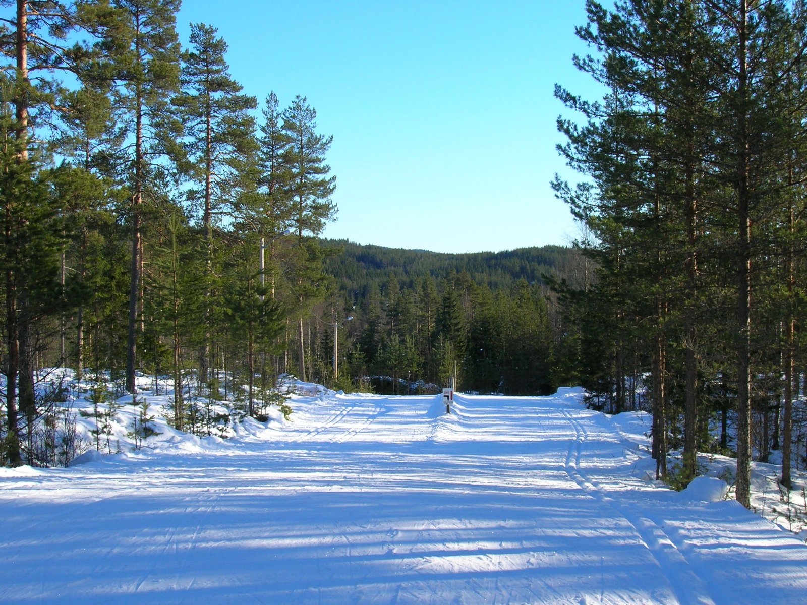 Fine forhold i Nes skianlegg