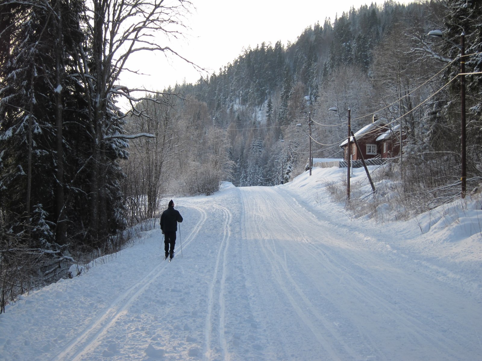 Fine forhold i Østmarka