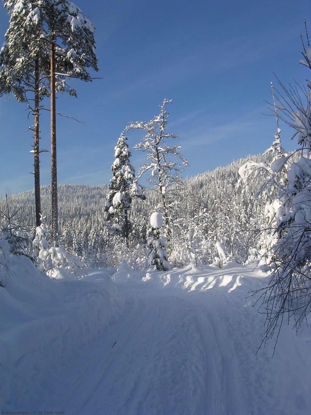 Fine forhold mellom Haga og Nygård