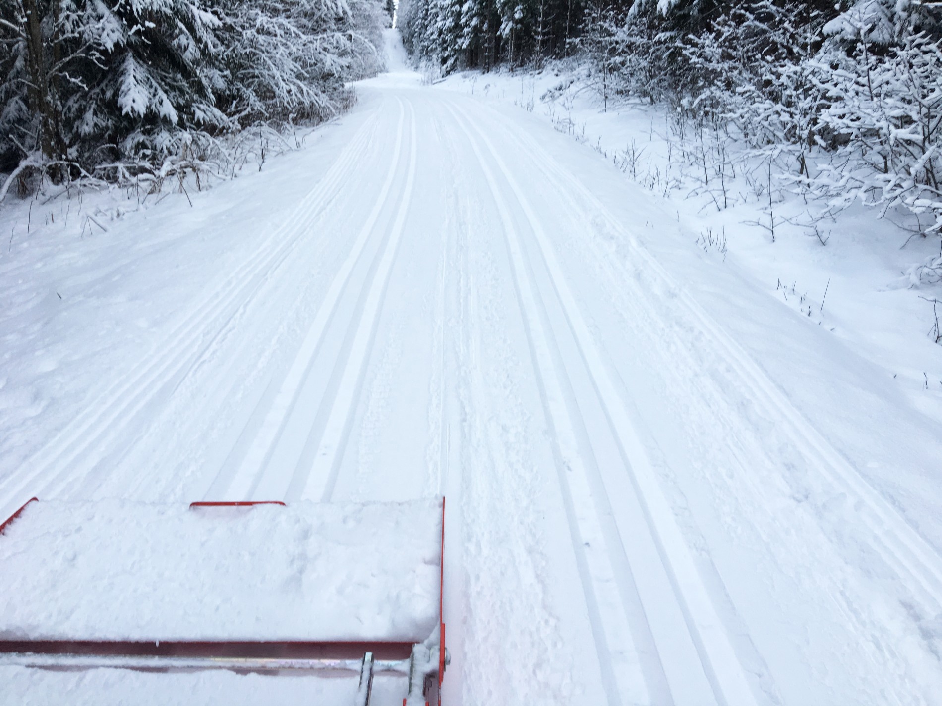 Fine forhold mellom Kloppa og Taraldrud
