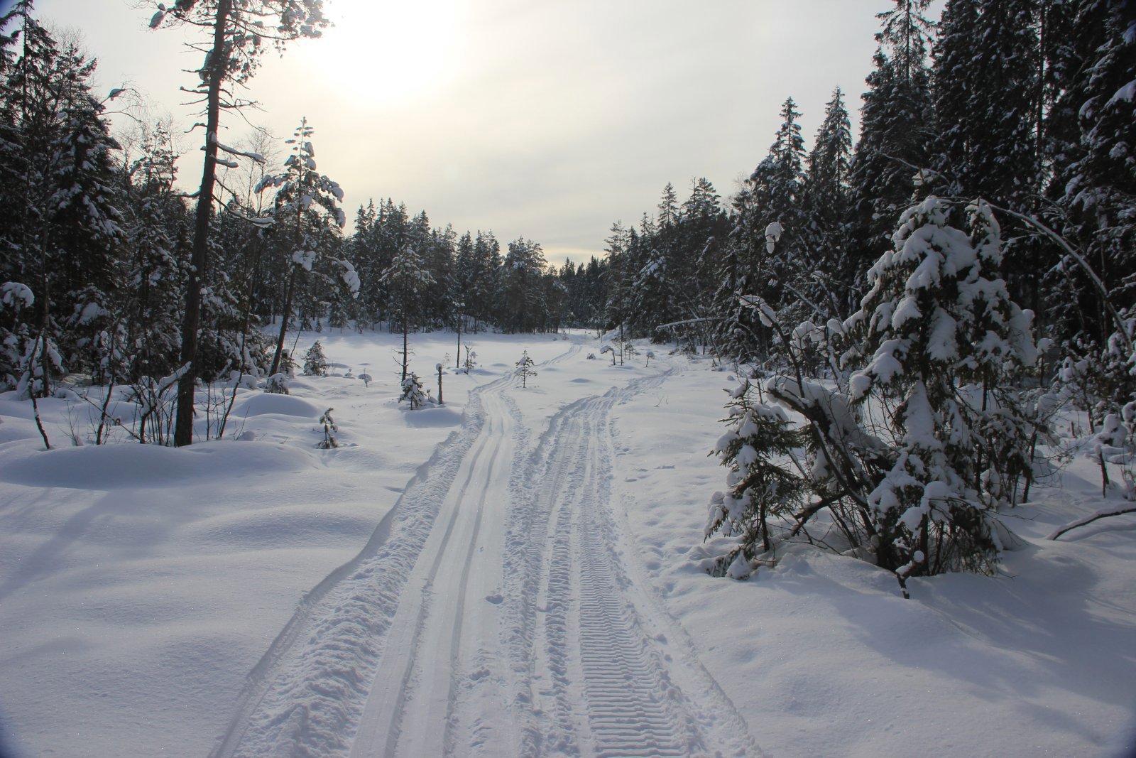 Fine forhold over Fellemyra