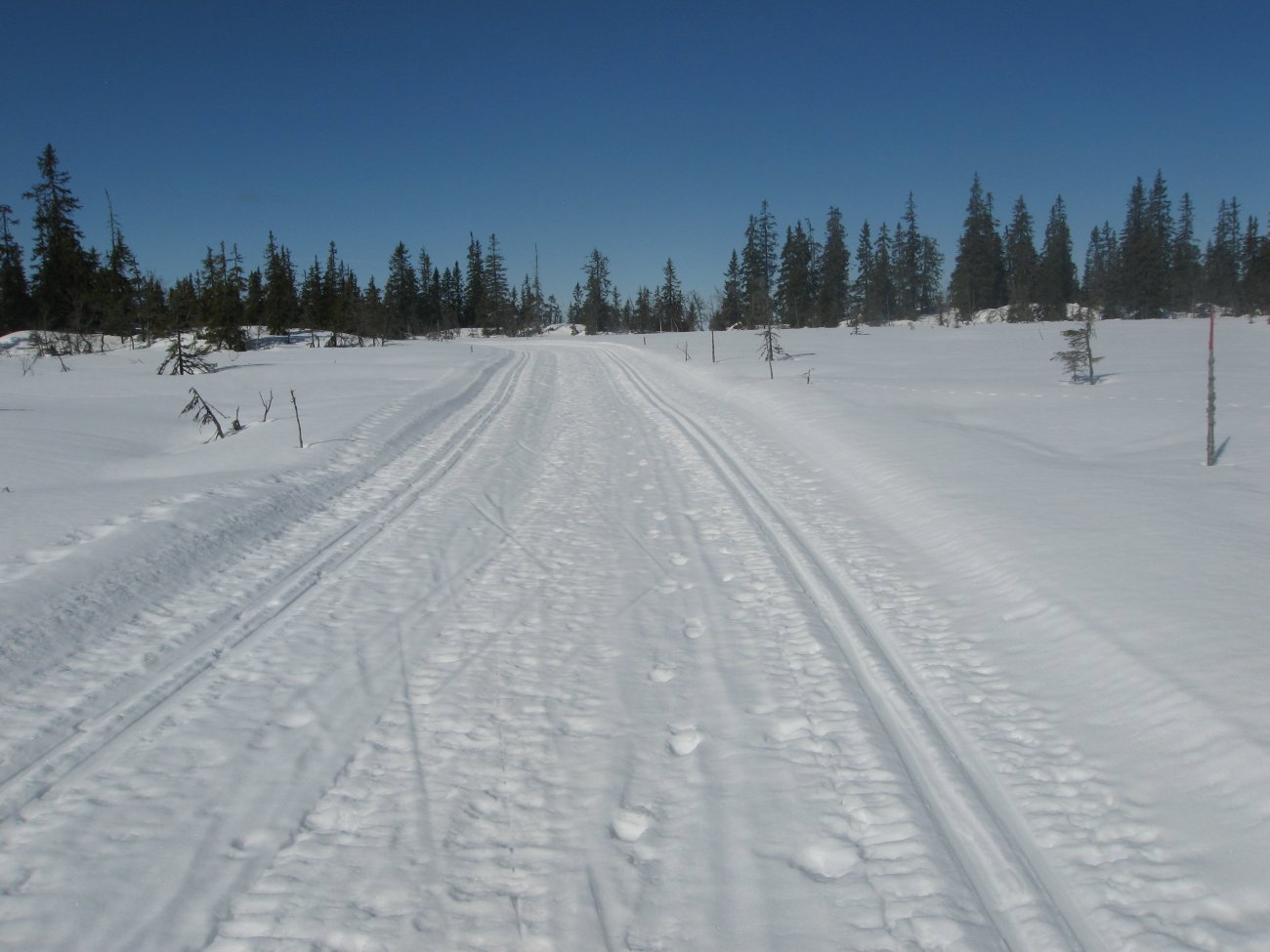 Fine forhold over Linken