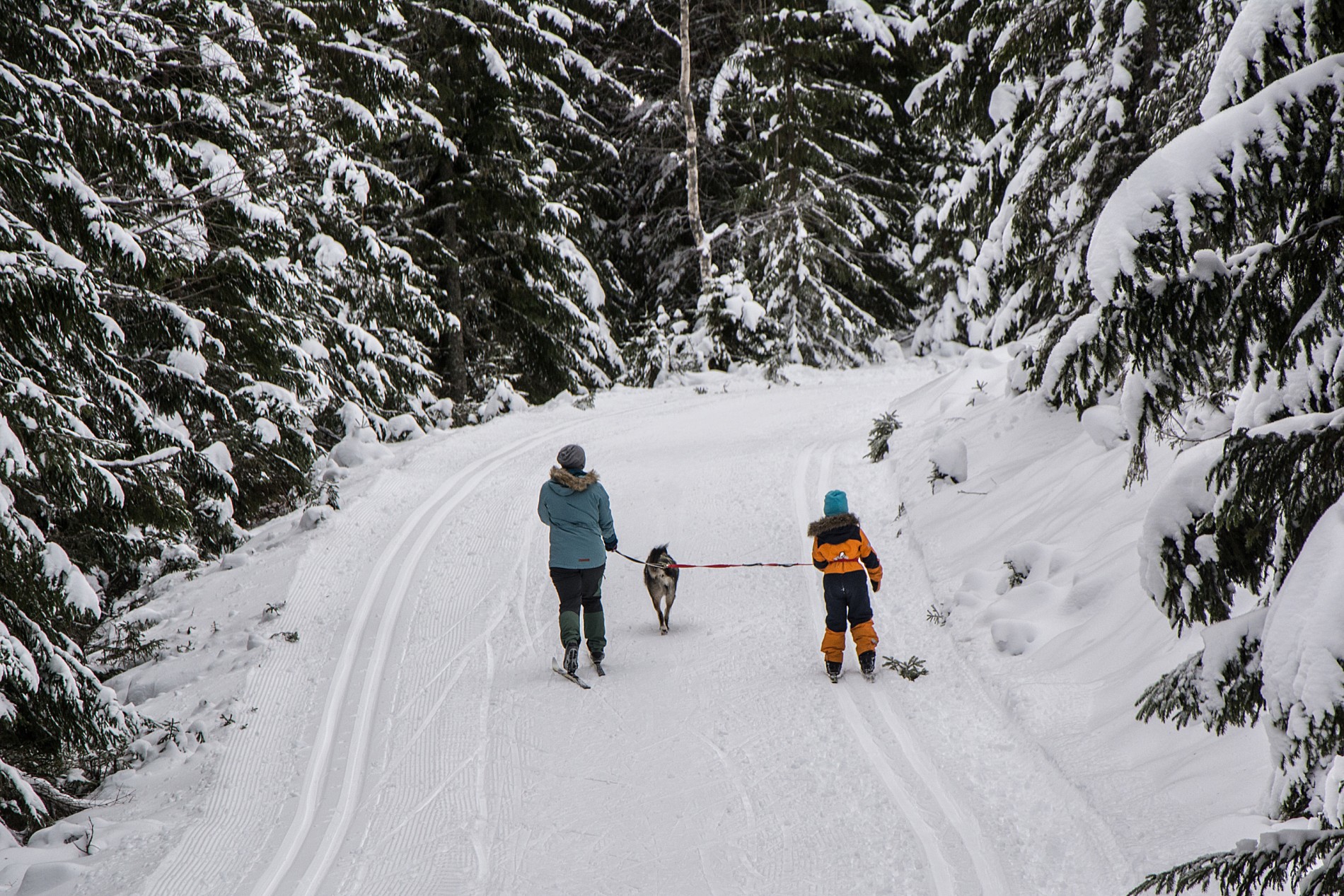Fine forhold på Minneåsen