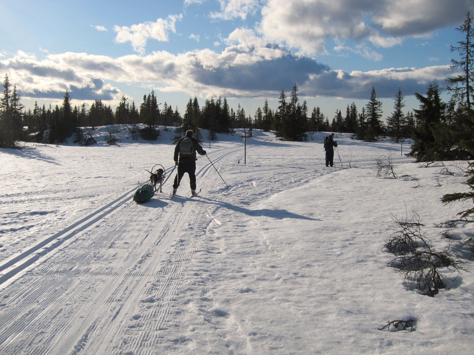 Fine forhold på Totenåsen