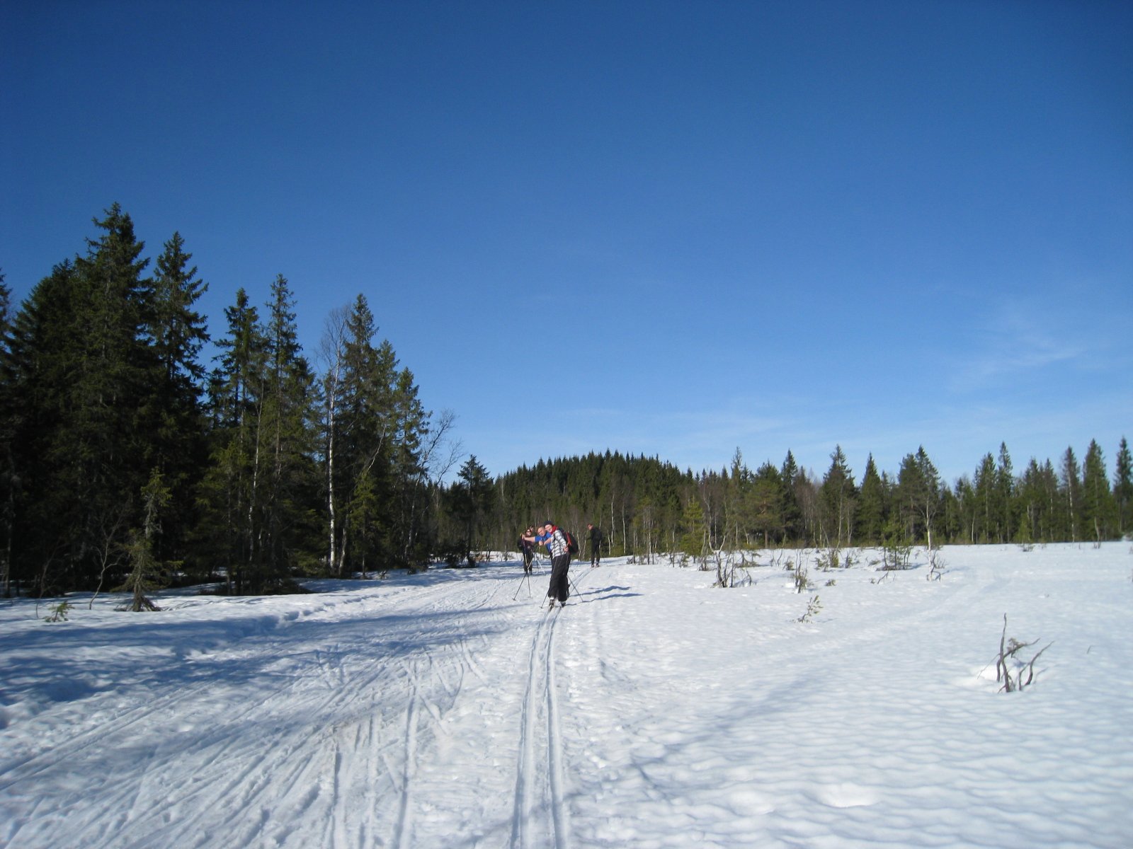 Fine forhold rundt Mikkelsbonn