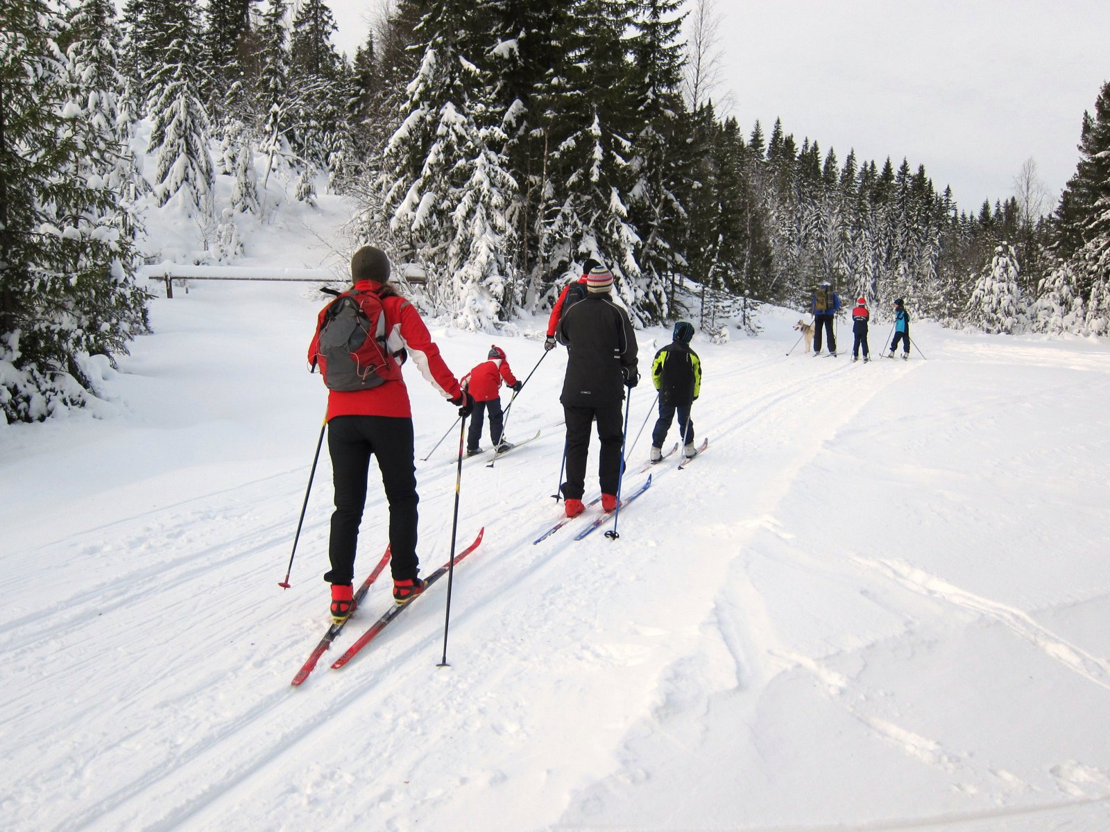 Fine forhold ved Brøstadgruva