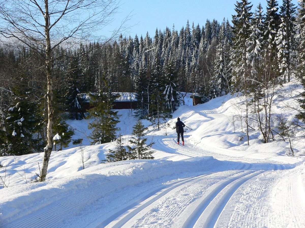 Fine forhold ved Engelstadvangen