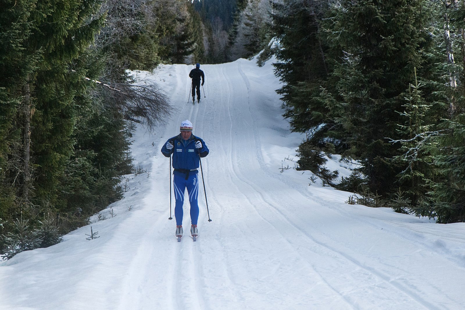 Fine forhold ved Svartungen