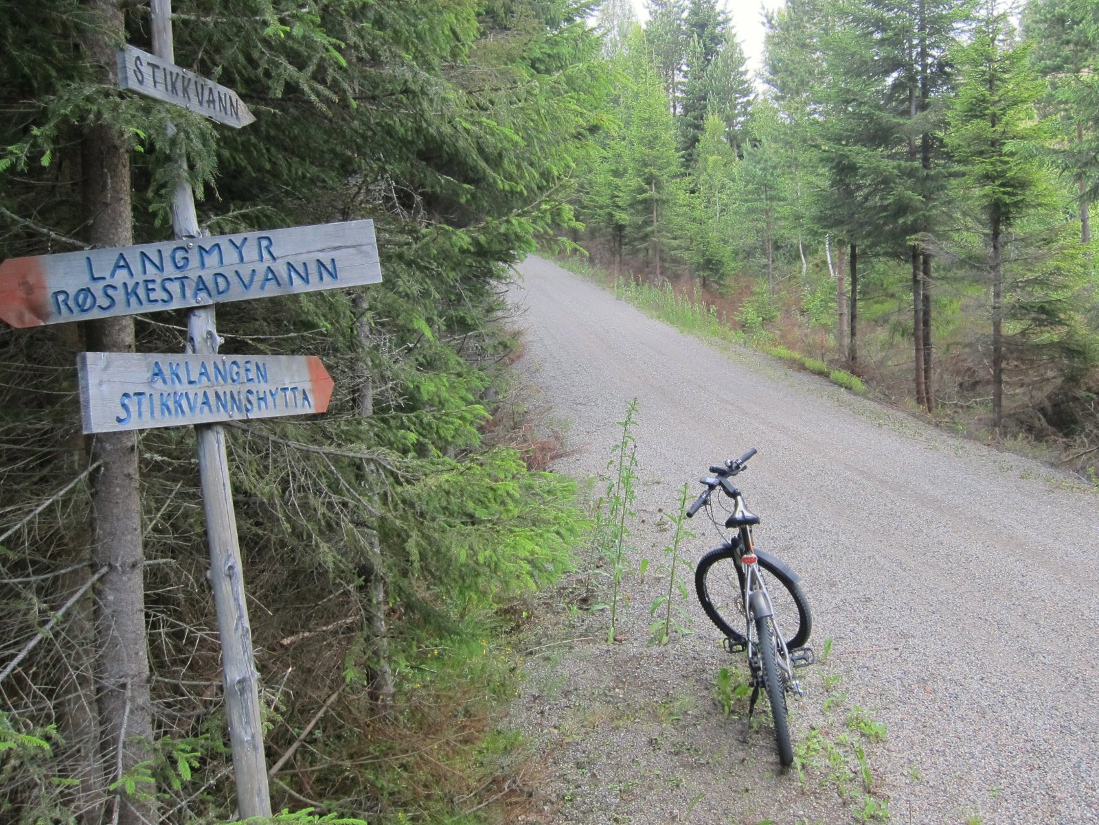 Fine forhold ved Svartvannsbekken