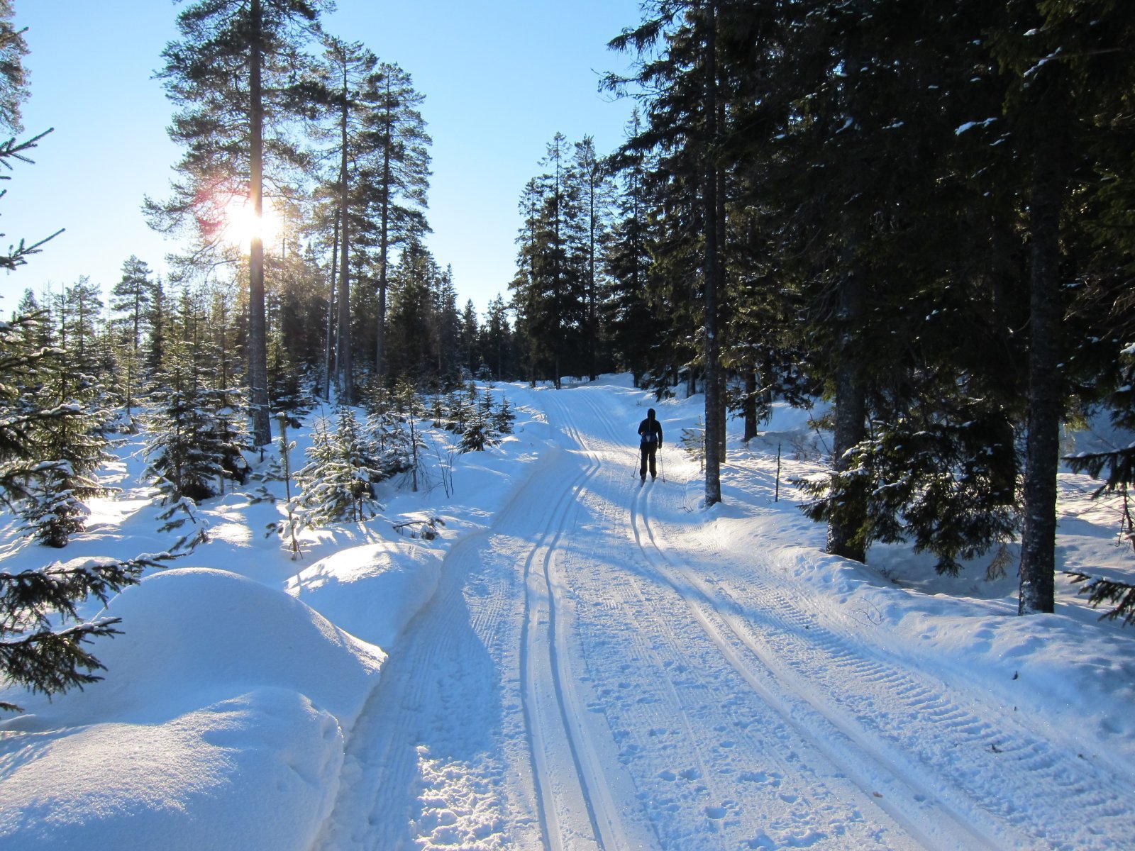 Fine løyper ved Vennervann