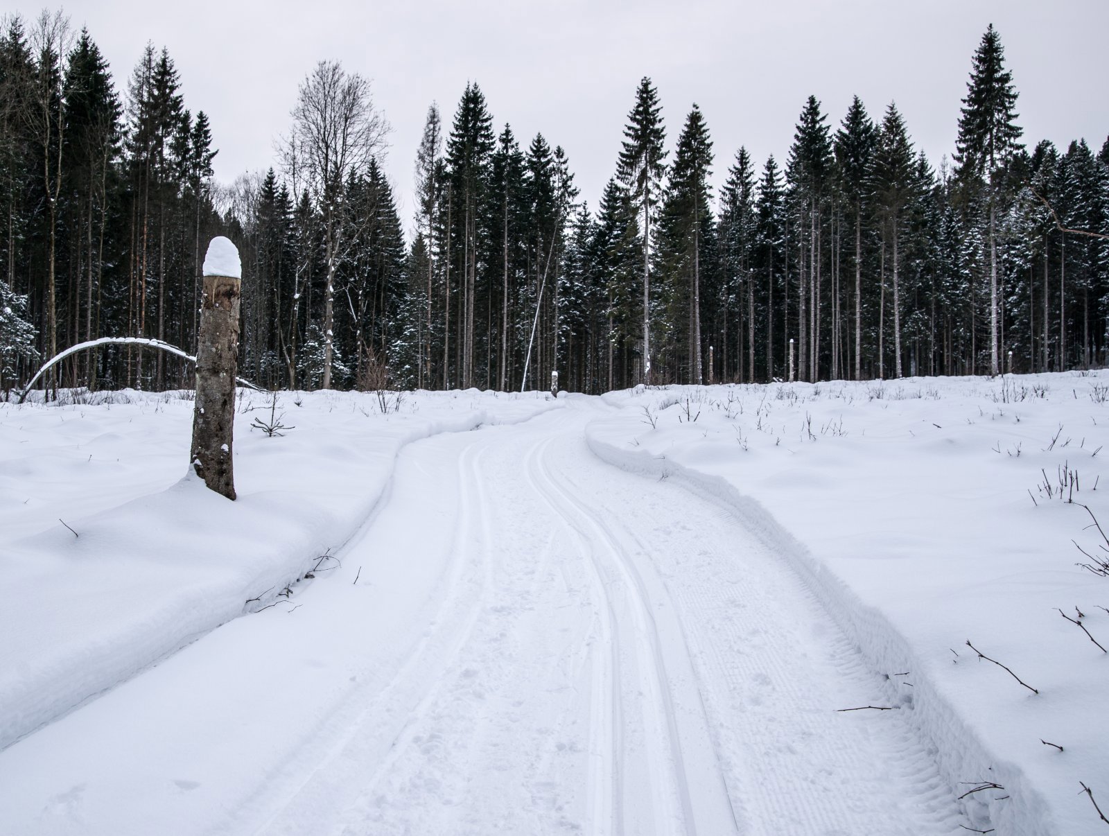 Fine spor fra Hvalstad