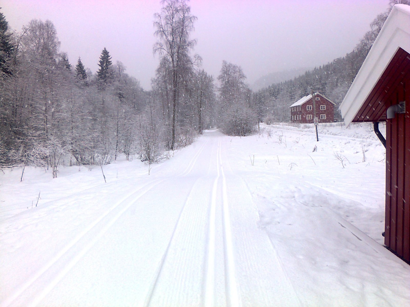 Fine spor fra Losby mot Mønevann