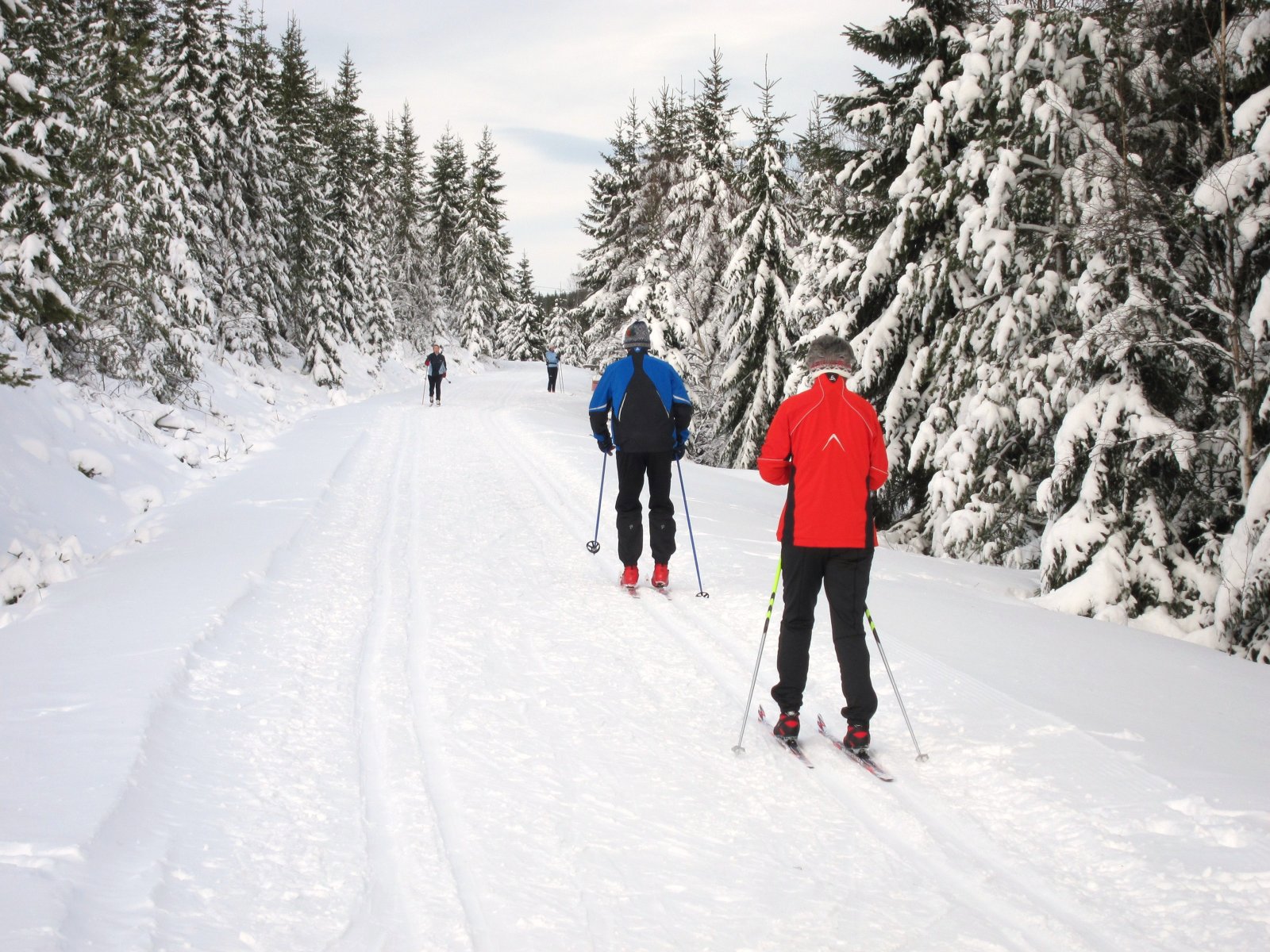 Fine spor fra Lynesvangen