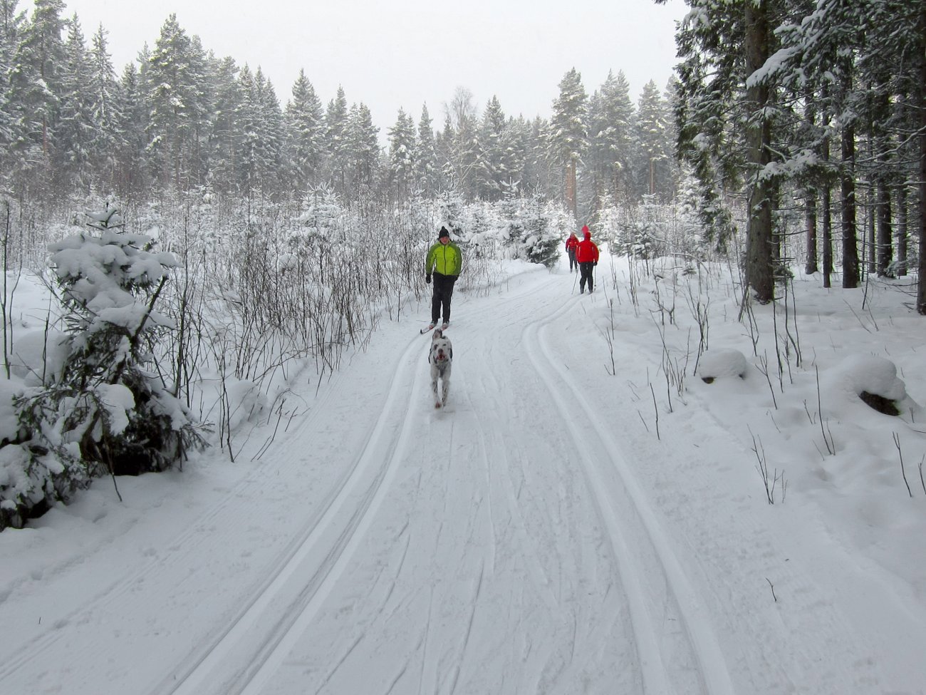 Fine spor fra Østernvannsvingen