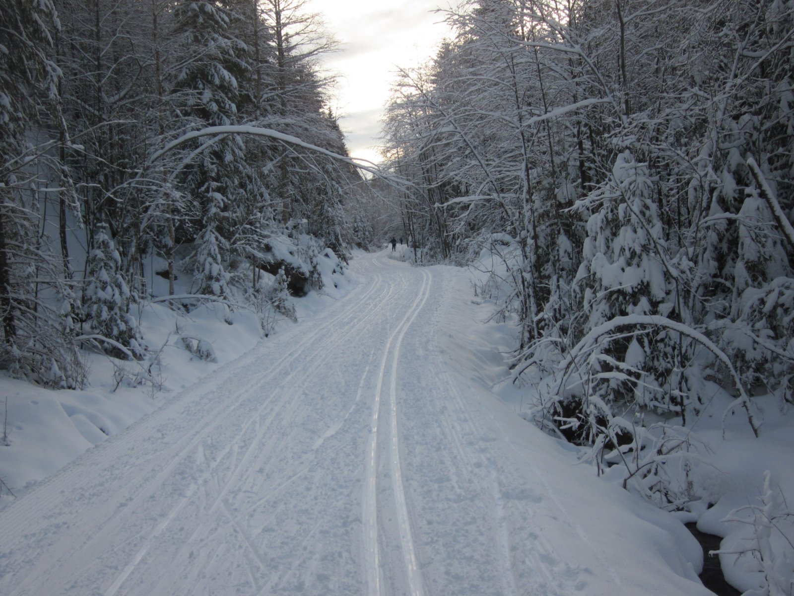Fine spor mellom Myrer og Kloppa
