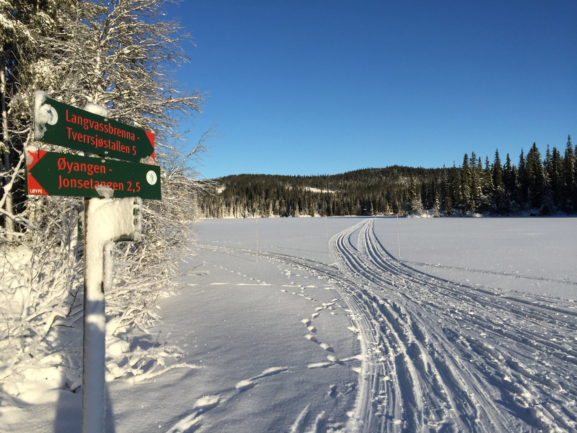 Fine spor over Mosjøen