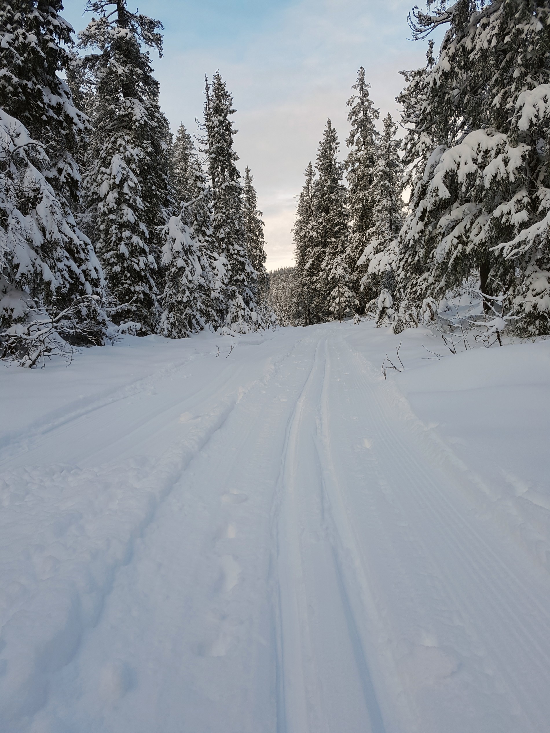 Fine spor over Storflaka