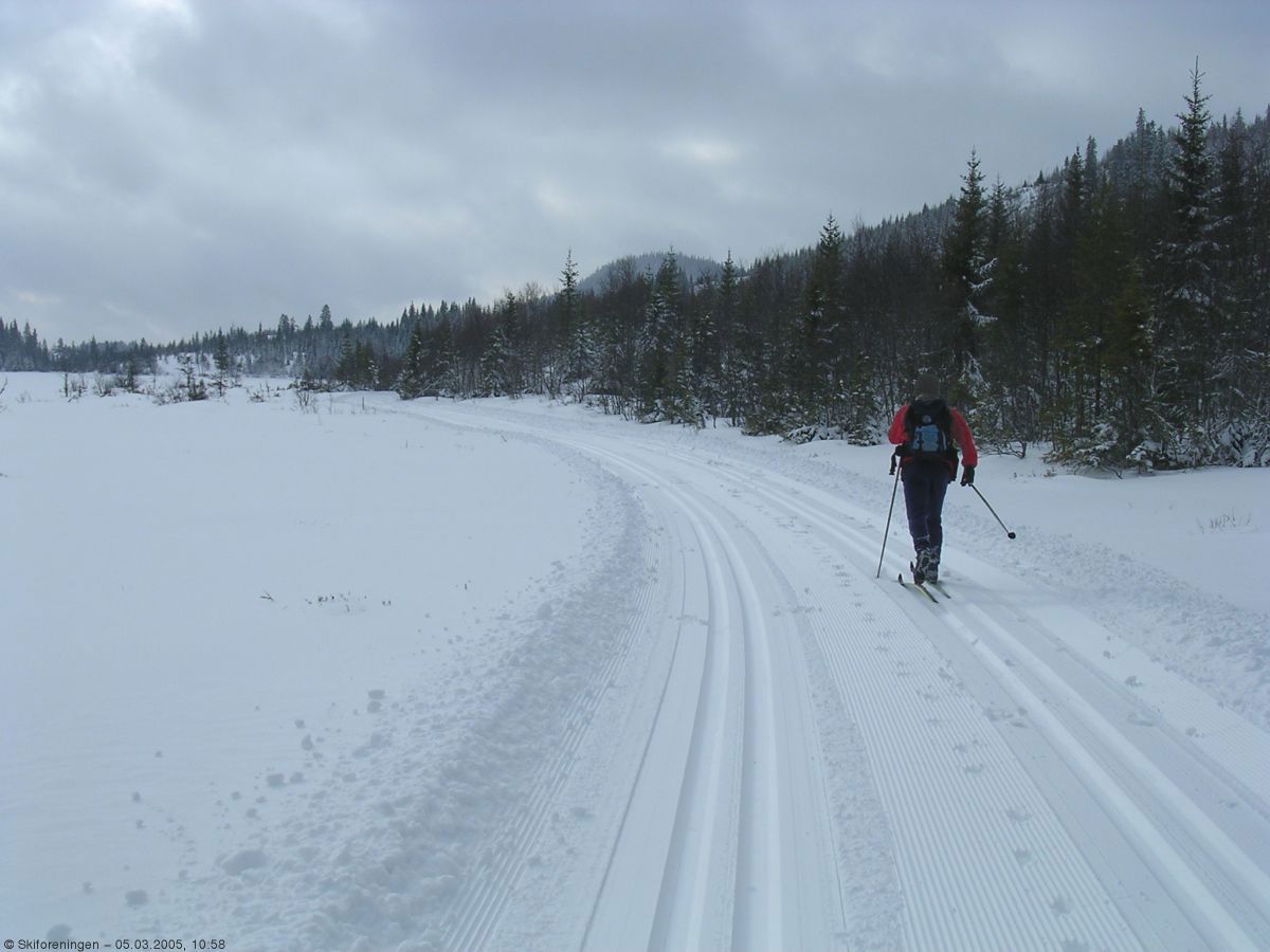 Fine spor på Hadeland