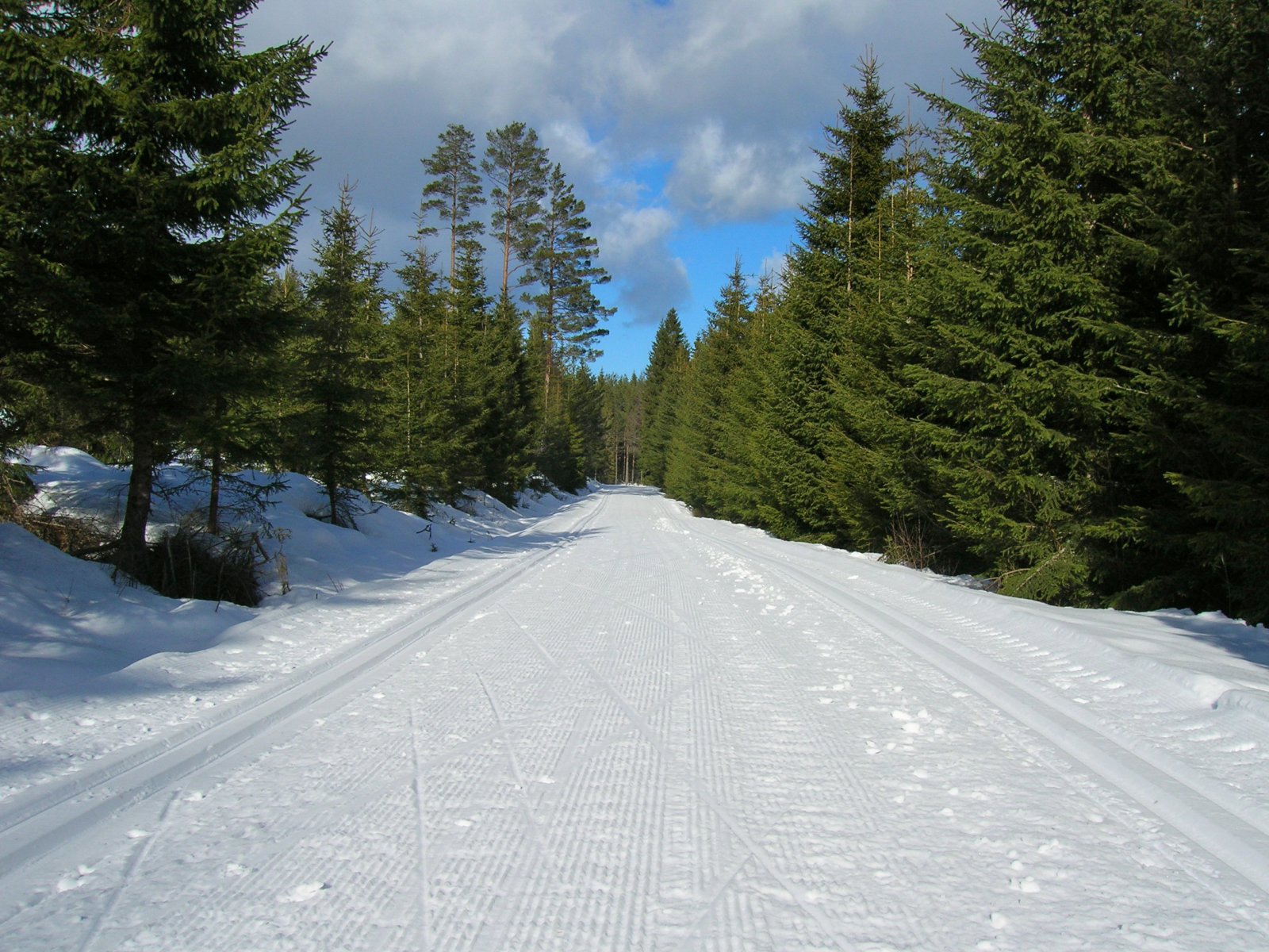 Fine spor til Jøndalsvangen