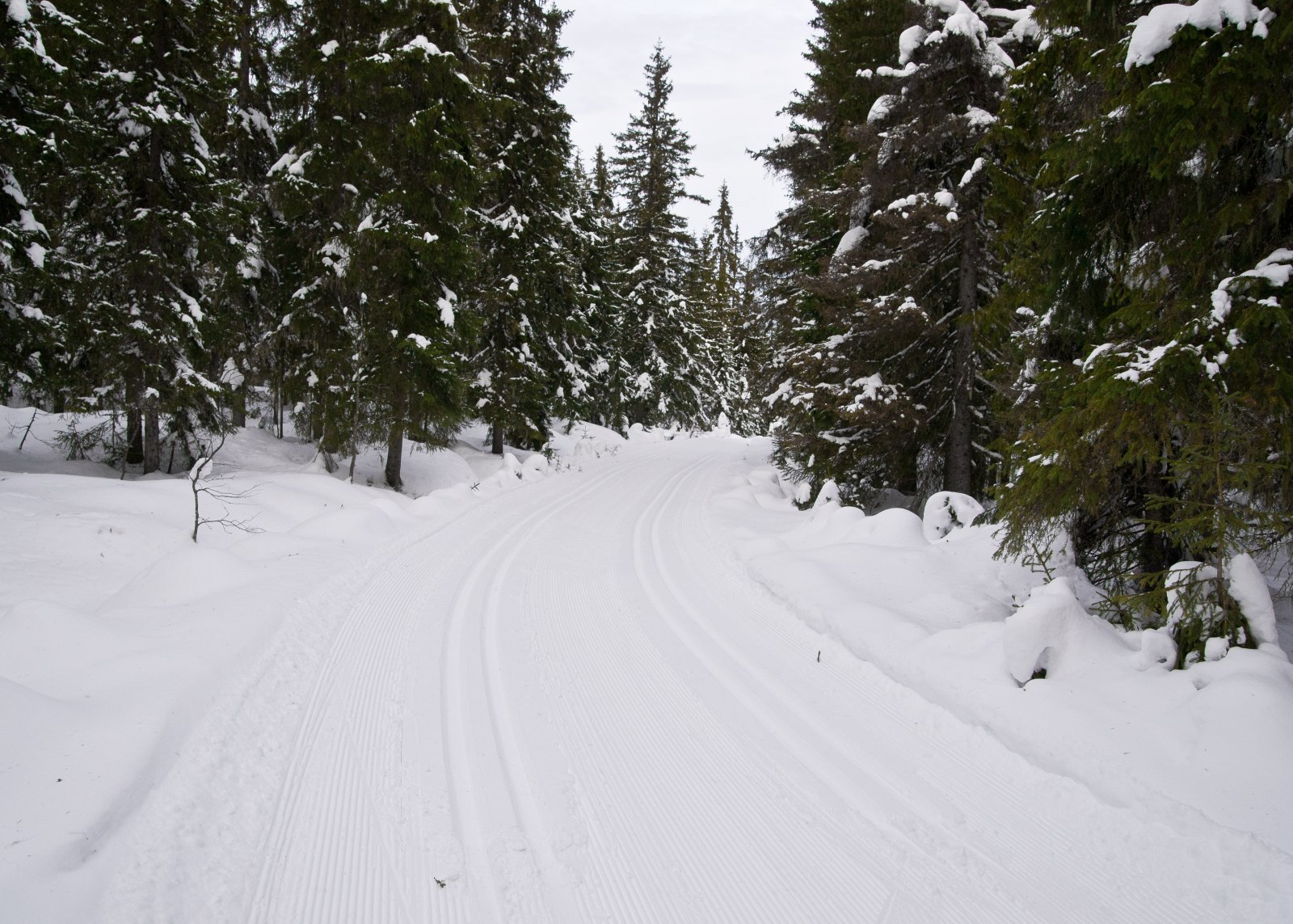 Fine spor ved Baklia