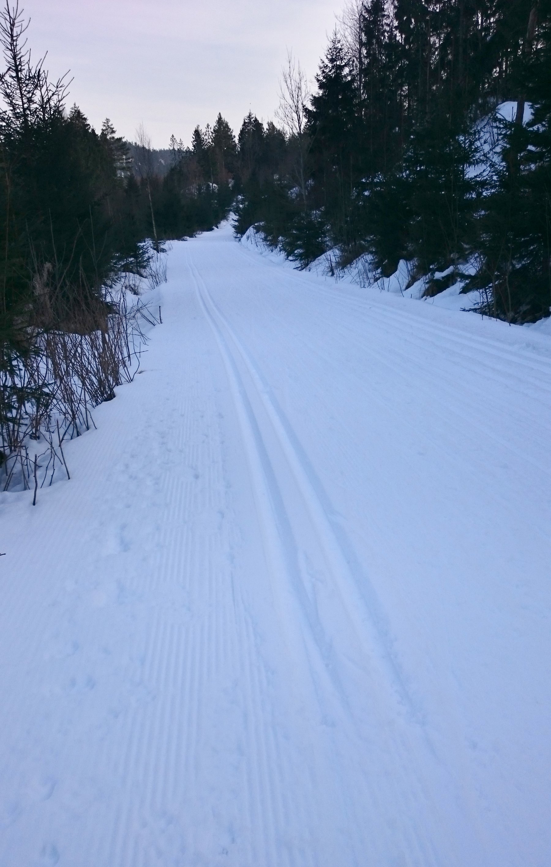 Fine spor ved Grytnes