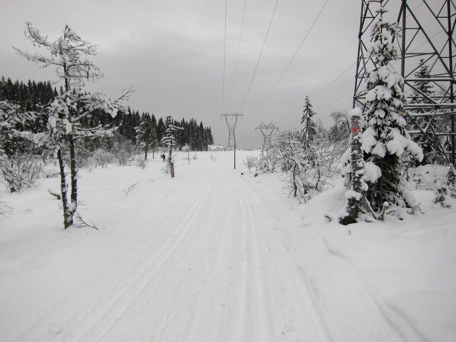 Fine spor ved Høgåsen