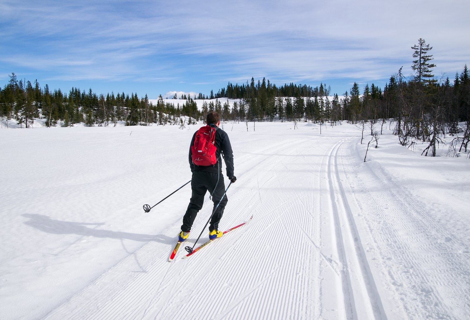 Fine spor ved Sandungskroktjern