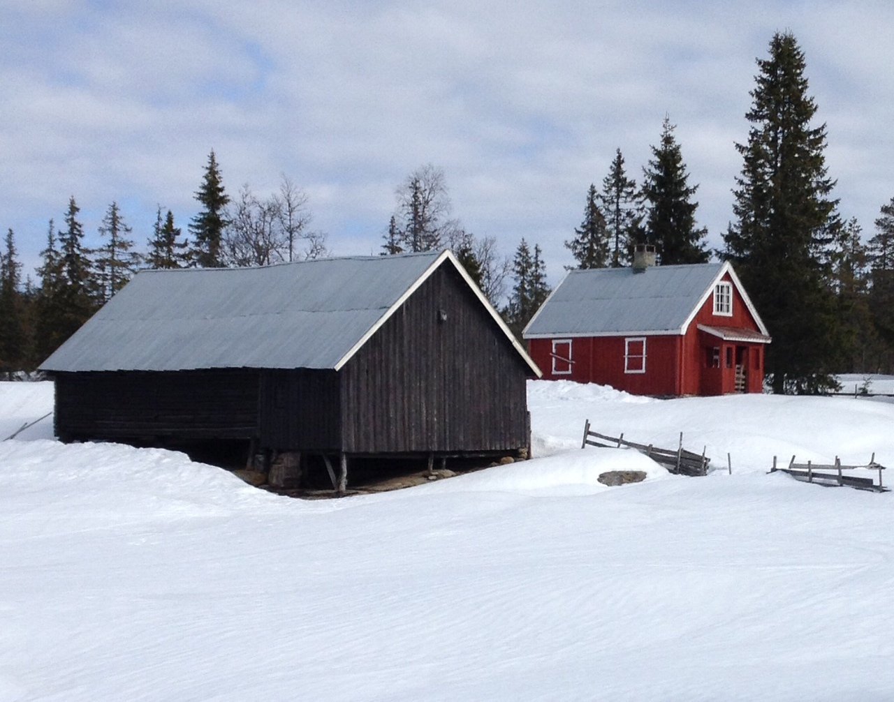 Finnskjeggholen i april