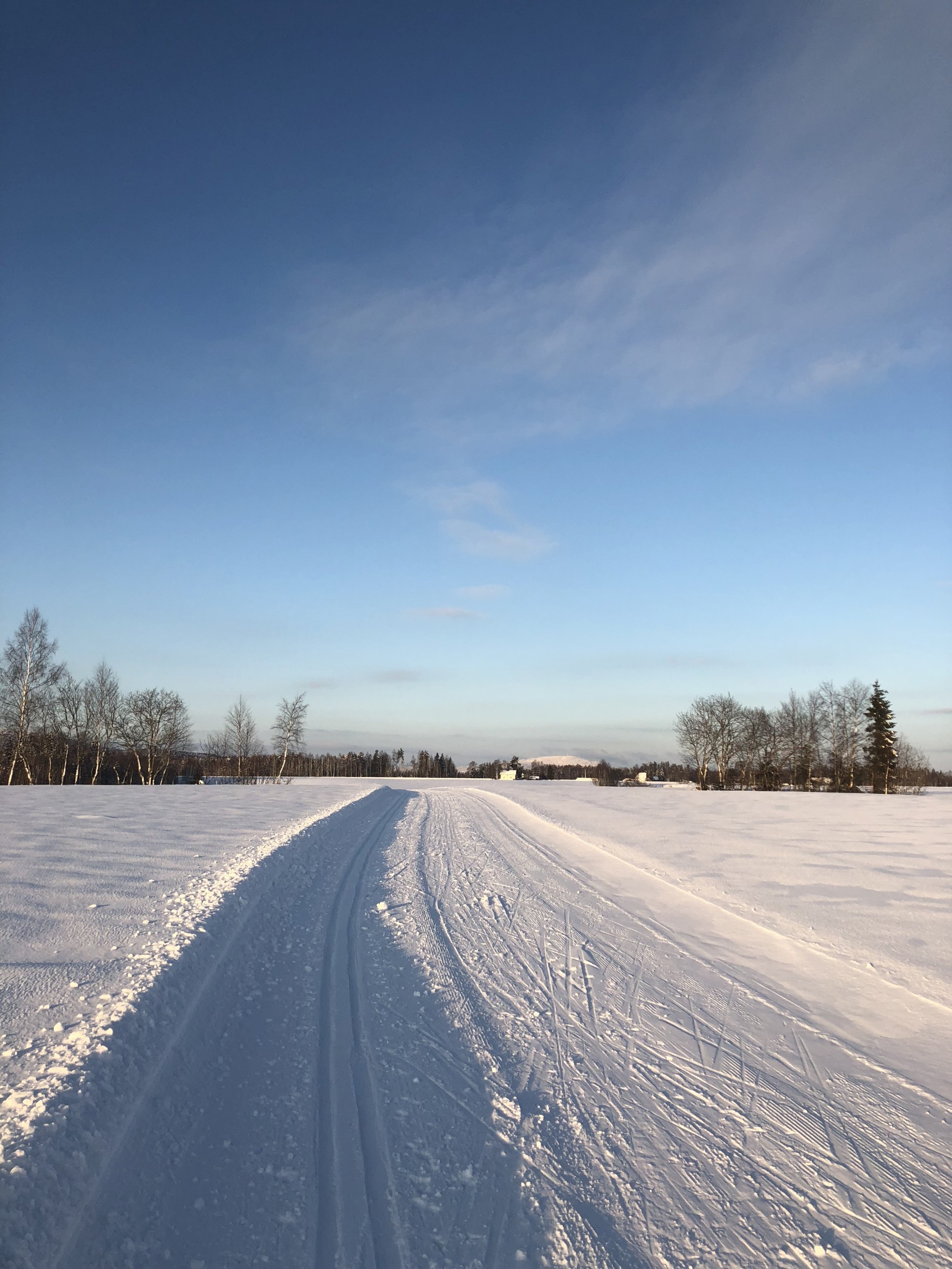 Fint føre i Morepprunden