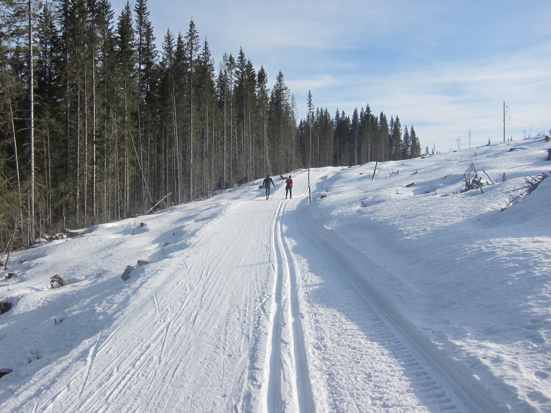 Fint i terrengløypa