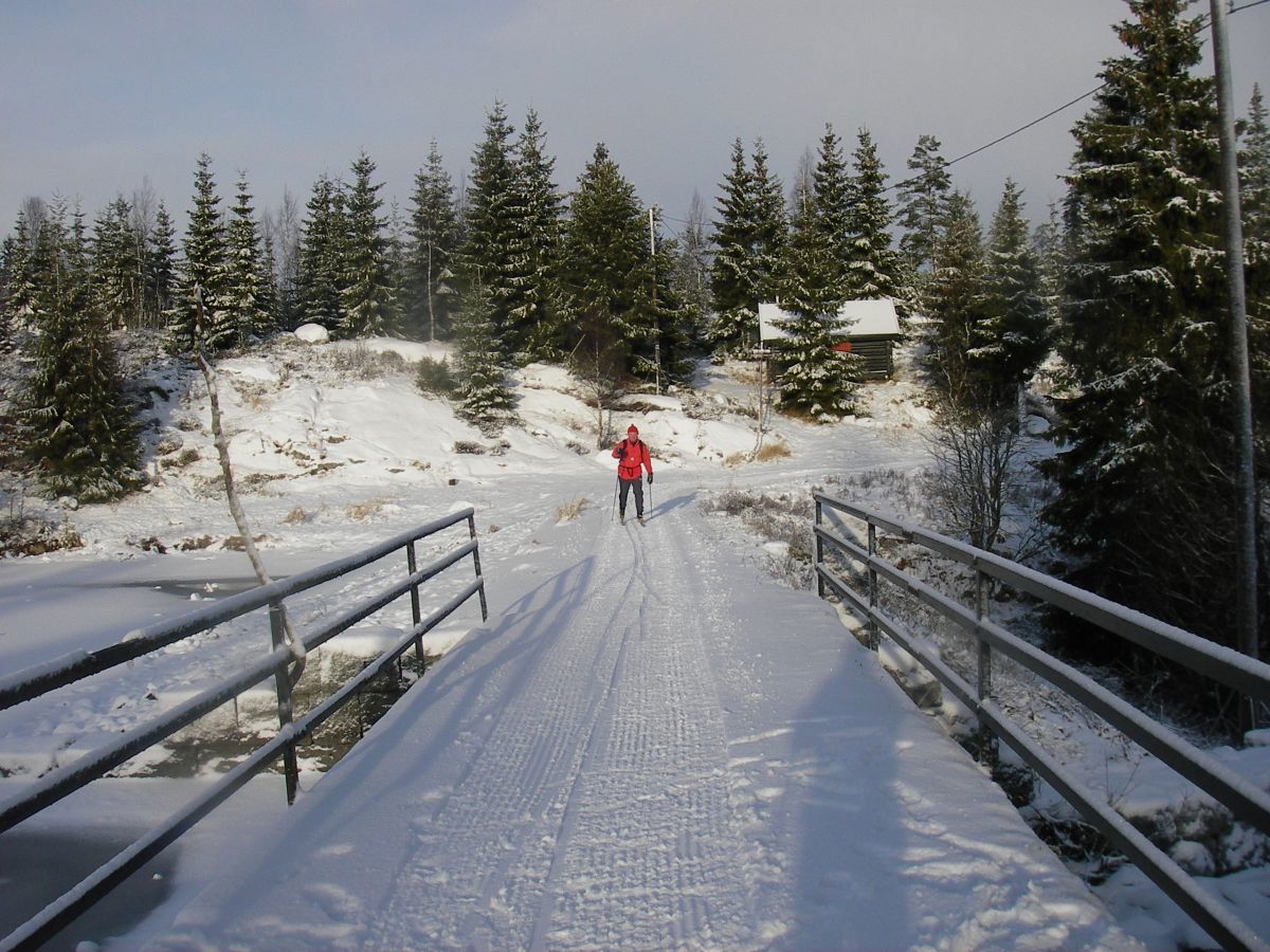 Fint ved Gjerdingdammen