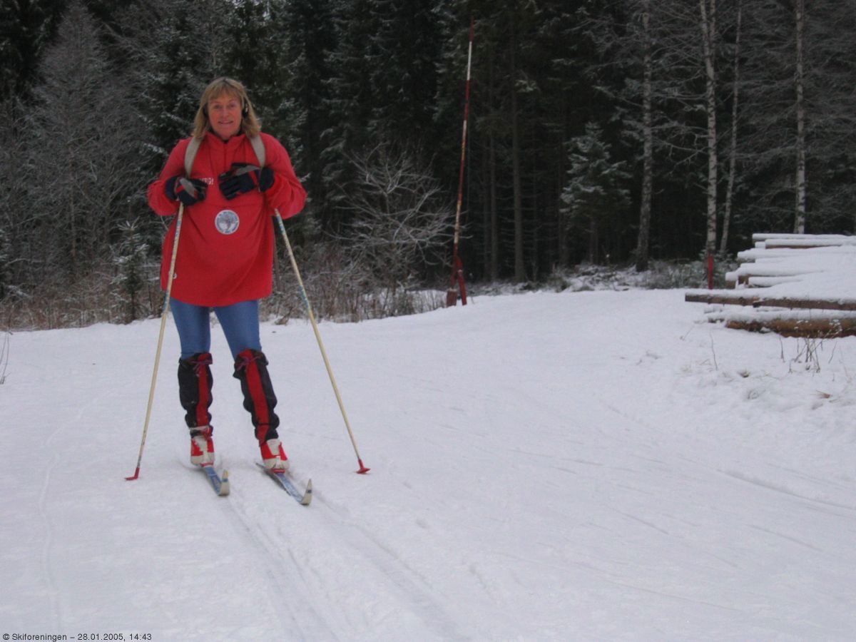 Fint ved Skrubdal i dag