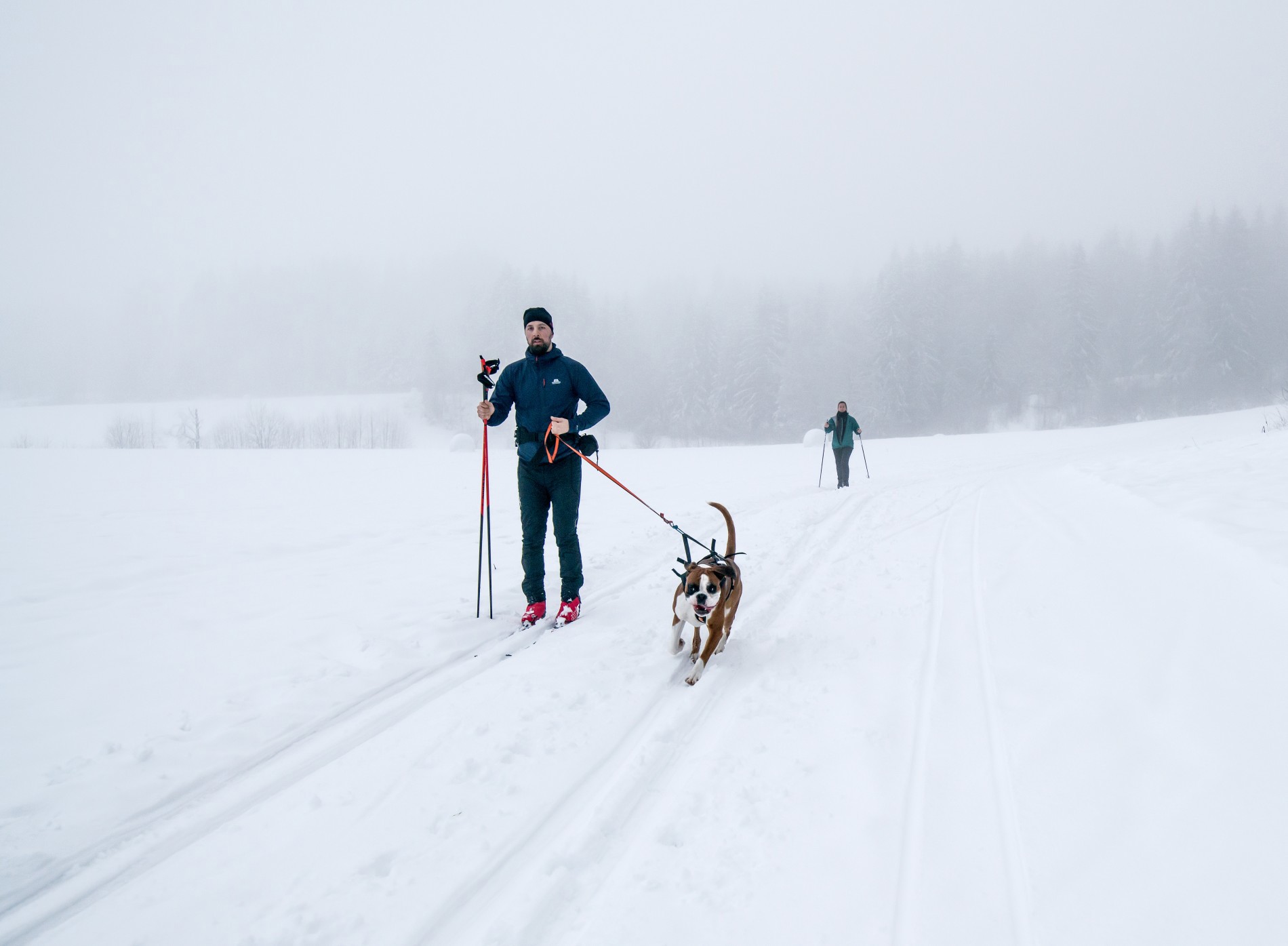 Firbent glede i egen løype