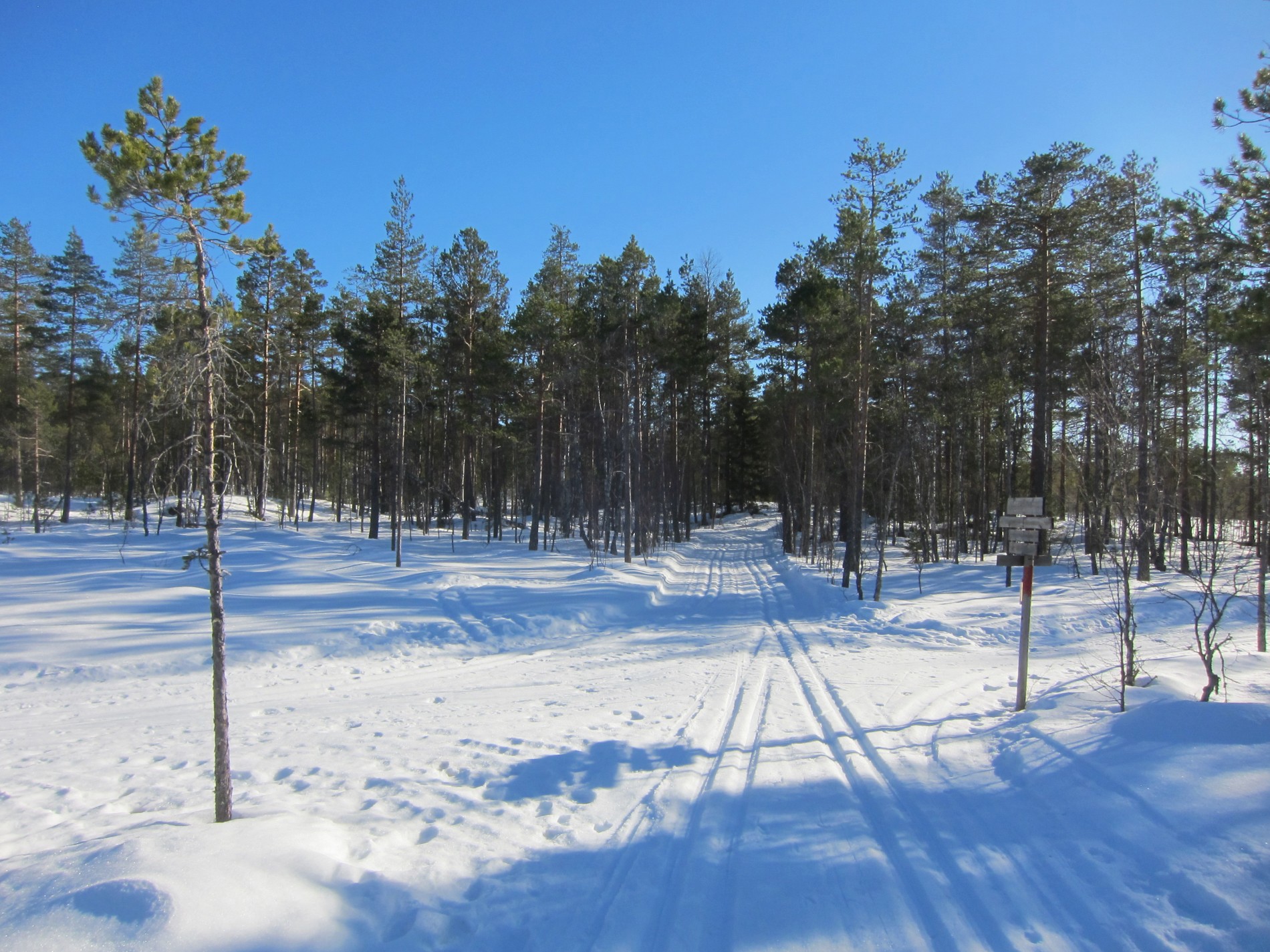 Fire retninger fra Flekkrøymyra