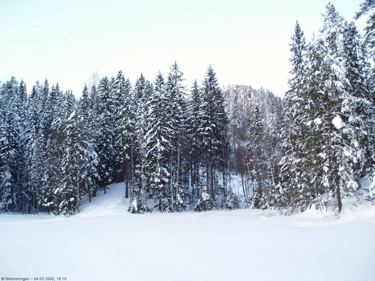 Fiskebein opp fra Åmotdammen