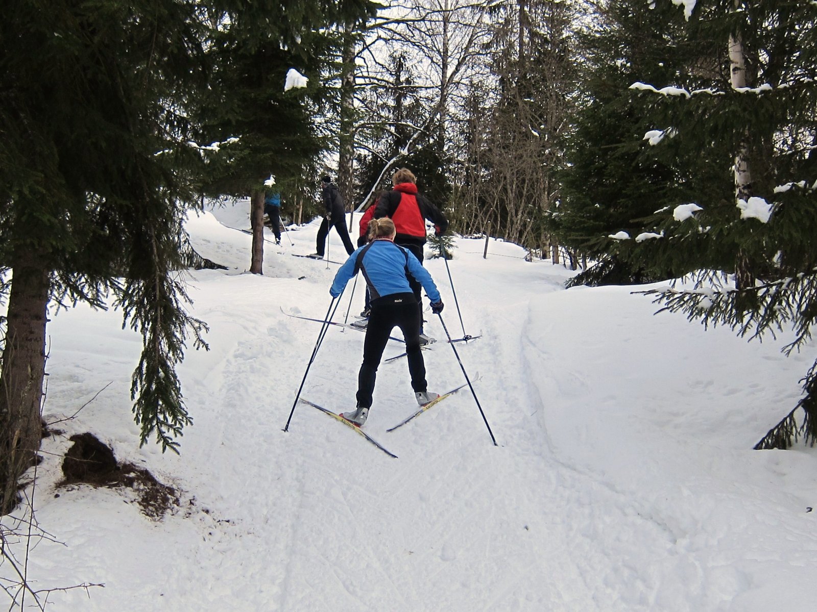 Fiskebein til avveksling
