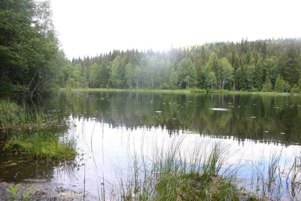 Fisken vaker i Damvann