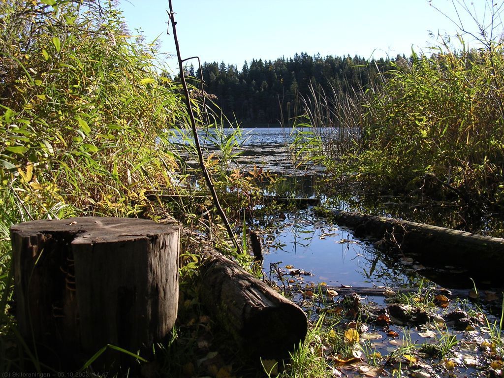 Fiskeplass ved Dælivann