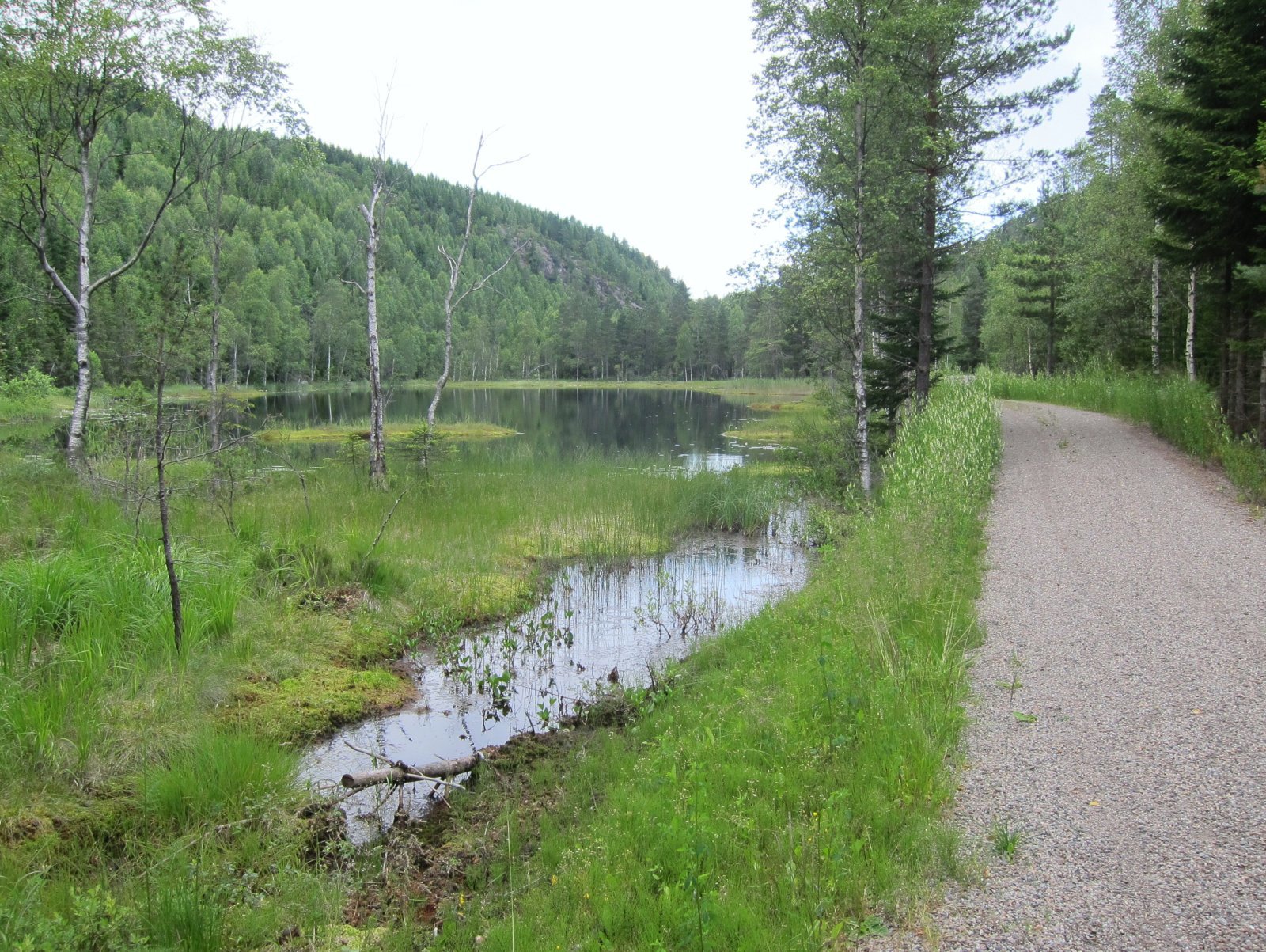 Fjellfiske - en idyll langs veien